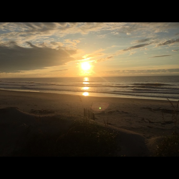 Meet your Posher, Libby - Picture 4 of 7